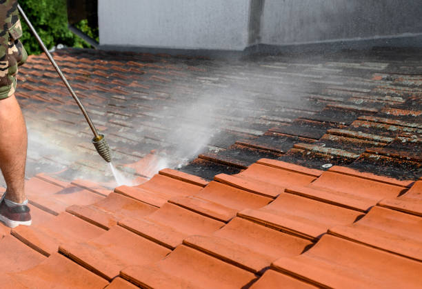 Best Pressure Washing Company Near Me  in Torrance, CA