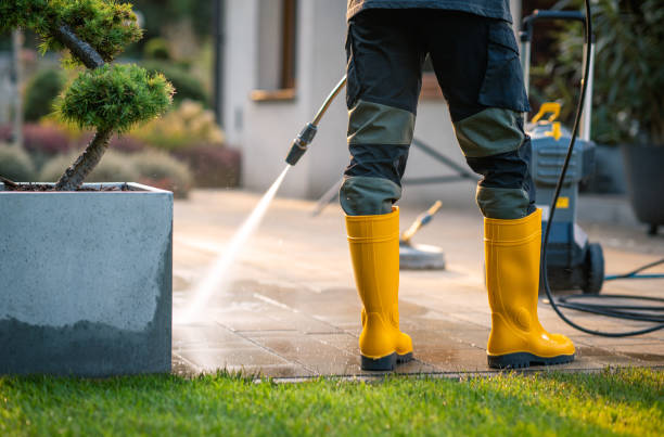 Best Pressure Washing Estimates  in Torrance, CA